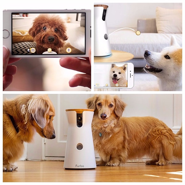 Furbo: la videocamera per cani e lancia croccantini da remoto, la distanza non è più un problema!
